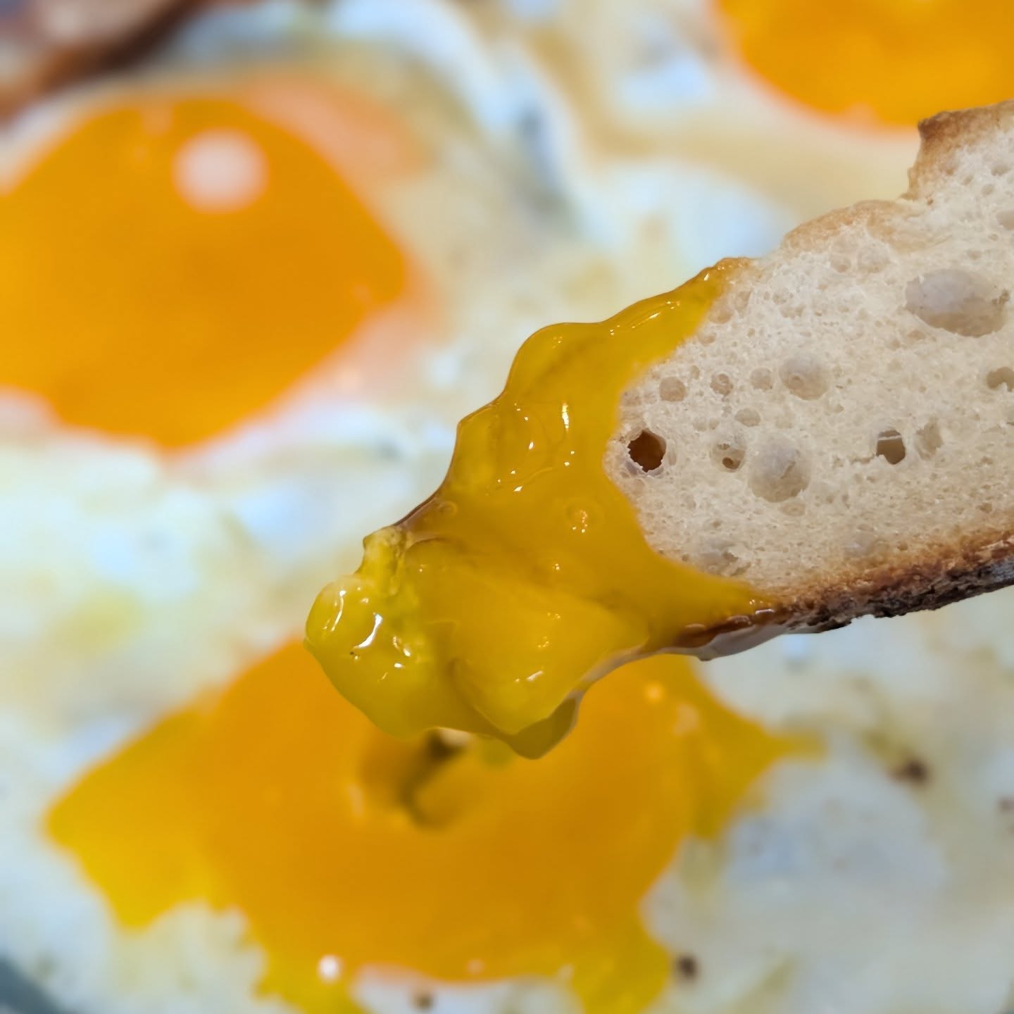 Eggs and toast. Simple post workout meal. Got my morning workout in, some miles walking and even a little running. Now, time for coffee